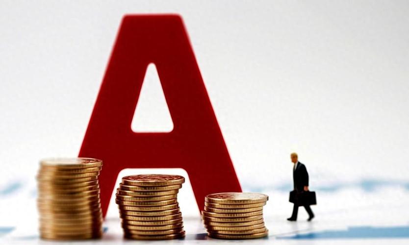 ����Գ��ʵ���ȱ������Щ��ծ����ʵ���ȱ������Щ��