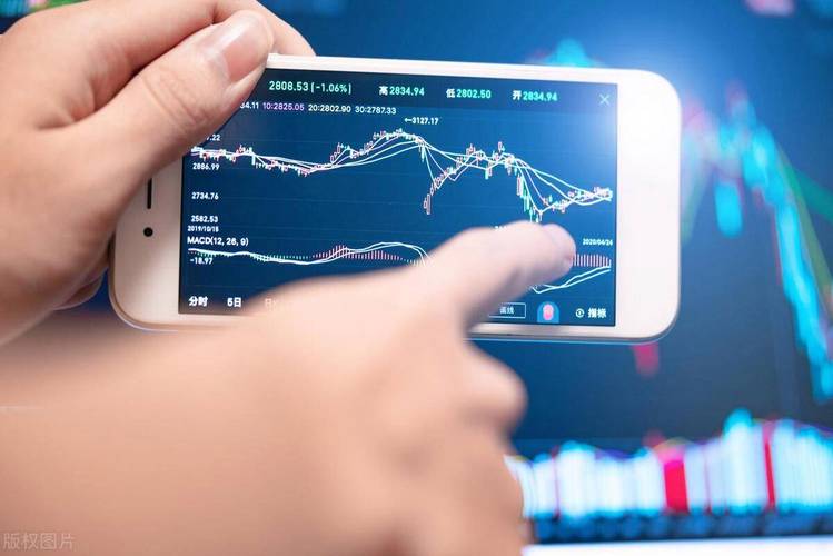 ѡ�ɼ��ɷ��������ǿ�ƹ�