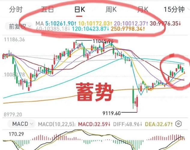 ipo排名榜(证监会今天最新ipo) ipo排名榜(证监会今天最新ipo)