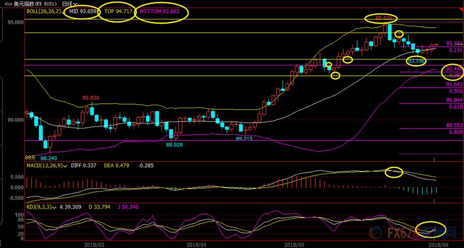 ����������飿