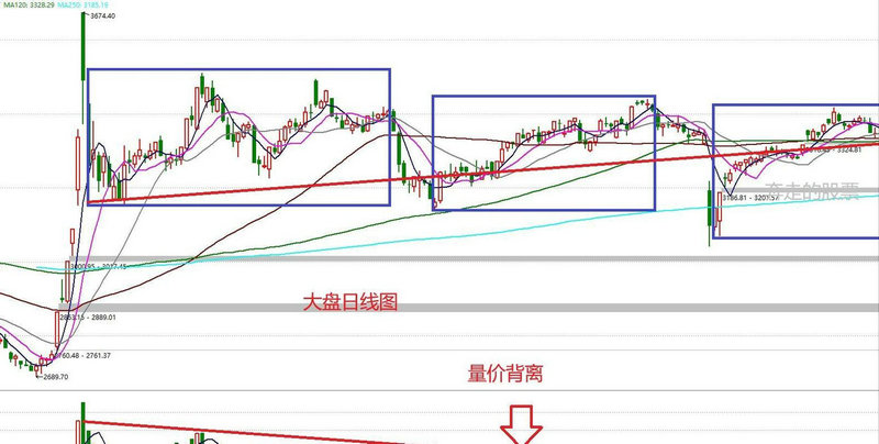 2022期货公司排名一览表 2022期货公司排名一览表