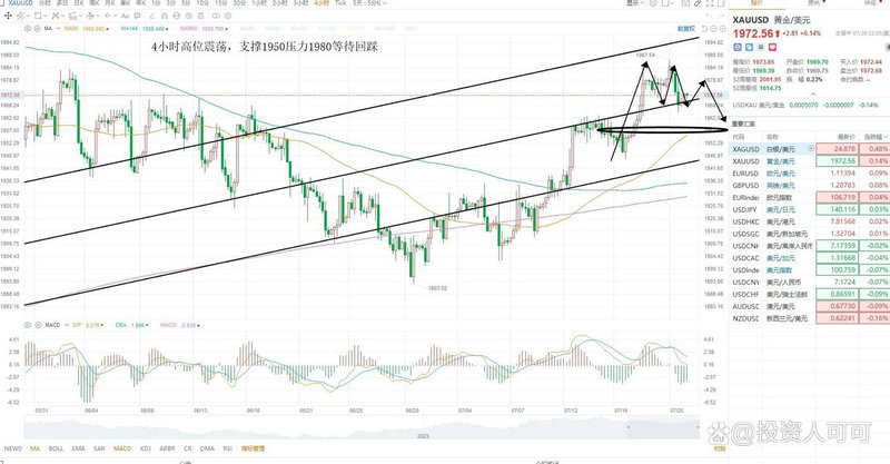 �������񱨸�ѡ��