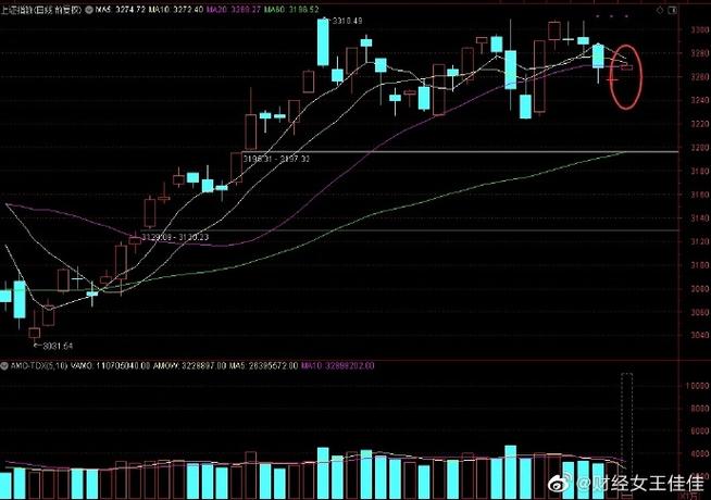 ��������ÿ������Ԥ�⣨�����Ƹ�����