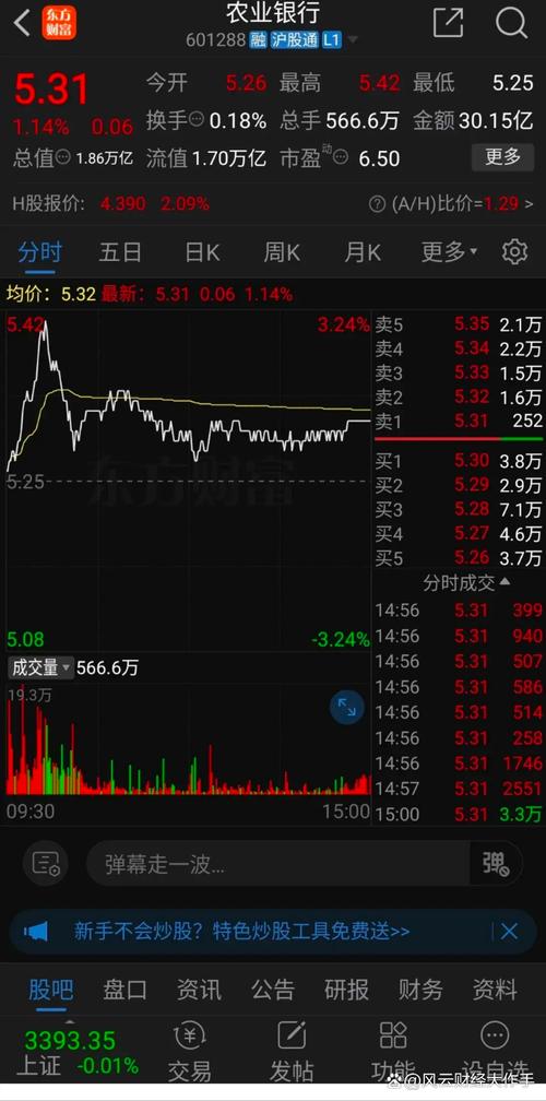 �й�ʯ��a�ɹ�Ʊ���й�ʯ�͹�Ʊ������