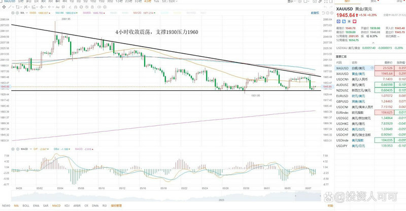 �����㻨����