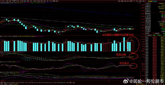 首次募集资金(公司上市募集的资金给谁) 首次募集资金(公司上市募集的资金给谁)