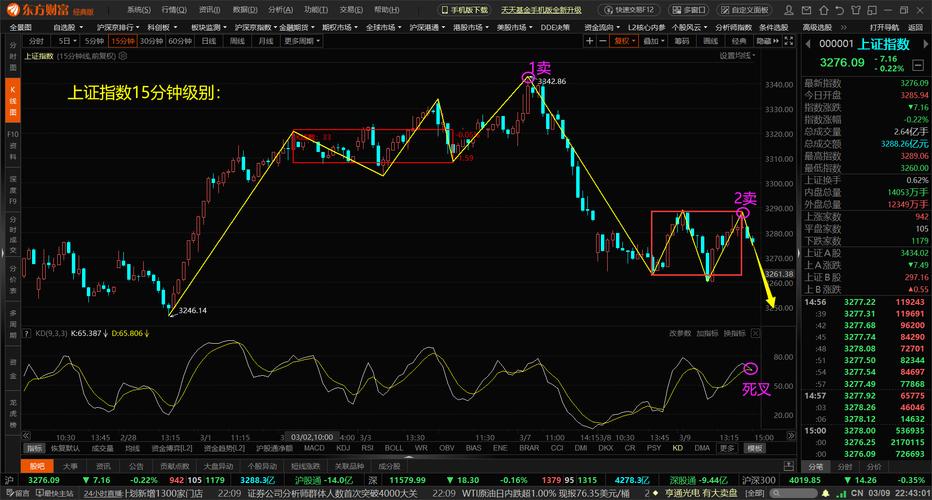 ����ְҵ������ʵҵ��