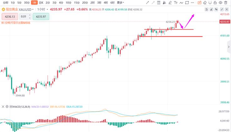 2025���Ʊ�ɾ�������� ��ֳҵȫ���ή��