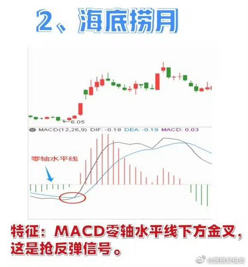 中信建投凤凰货币A(中信建投app怎么销户) 中信建投凤凰货币A(中信建投app怎么销户)