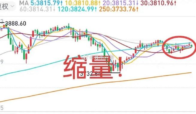 ���������Ʊ