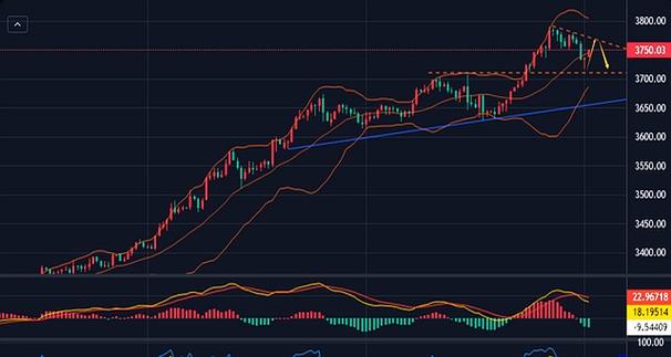 ̫ƽ���Ʊ����ɰ� ̫ƽ���Ʊ��������