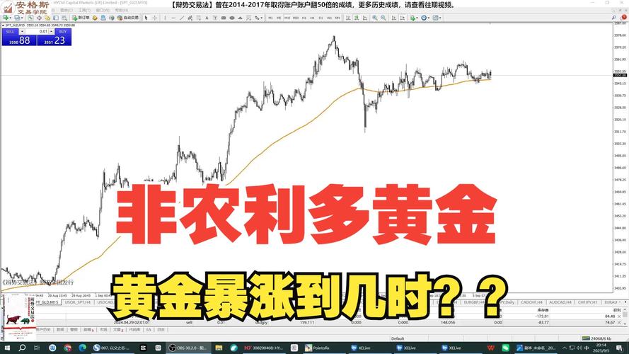 ������ʦ����ΰ������淶�ǹ�����������������