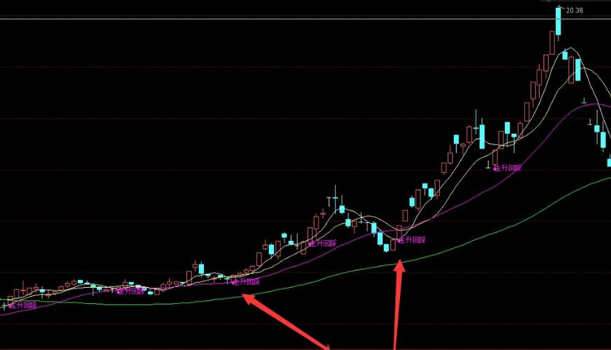 090020������������й�ǰʮ�����˾��