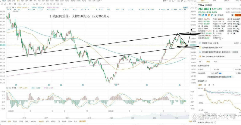 �����幫˾��������� 11��������623��