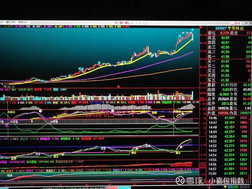 ңԶ��500�� ������ҵ���ɹ�ģ�����غ͸�ծ