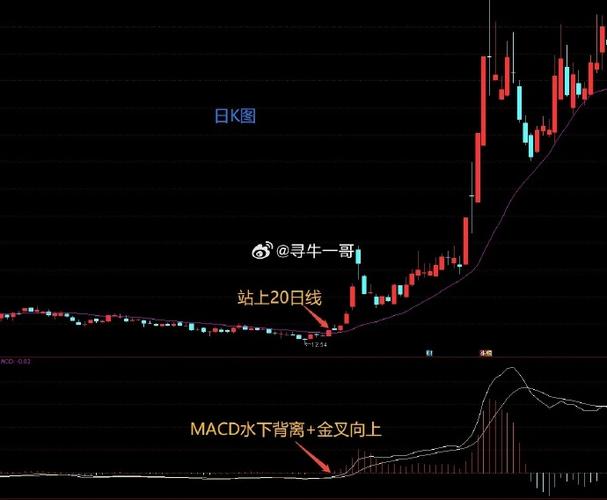 中国石油发行价多少钱 中国石油发行价多少钱