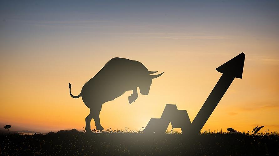 华联股份股票怎么样 华联股份股票怎么样