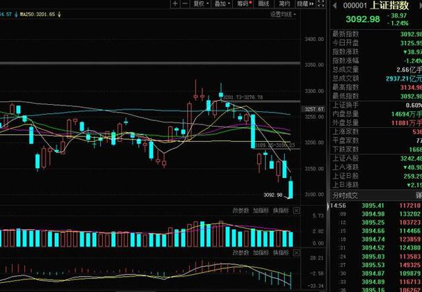 ���嶫���Ƹ��������������ѯ