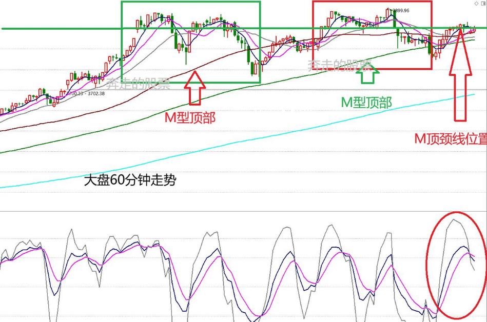 ��С�����������𣨿ƴ�����뼸��ͷ��