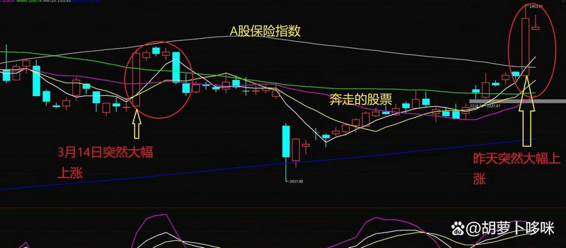 �Ĵ�����ipo �Ĵ�����ҩҵ������ô��