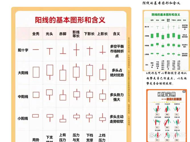 002315��ʲô��� 002530��ʲô���Ĺ�Ʊ