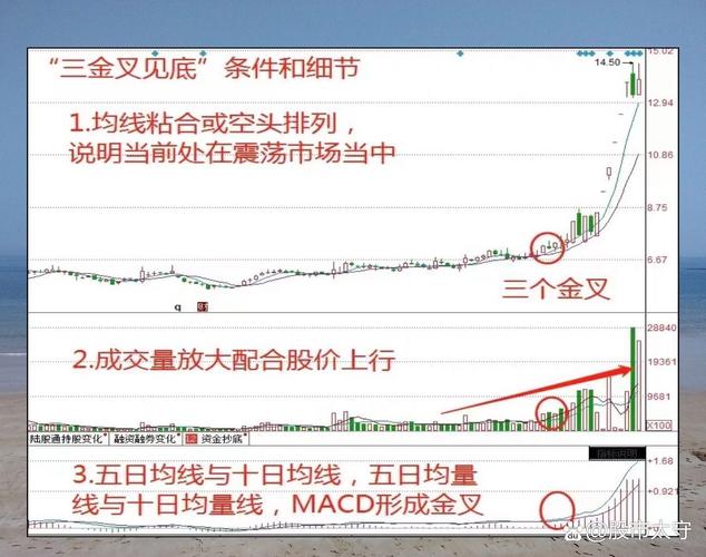 上市公司审计业务(上市公司审计要求) 上市公司审计业务(上市公司审计要求)