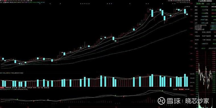 生产家禽疫苗的上市公司(国内生产疫苗的上市公司) 生产家禽疫苗的上市公司(国内生产疫苗的上市公司)
