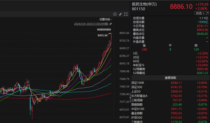 ������Ѷipo ������Ѷ��ʲô�����ý��