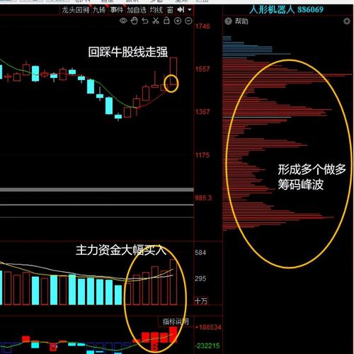 �����Ϲ��ݶ���ô�ETF�Ϲ��ܳɹ���