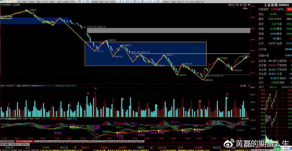 ���ɵ�������