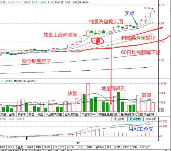 ������������ʲô_�������Ʒ�������������