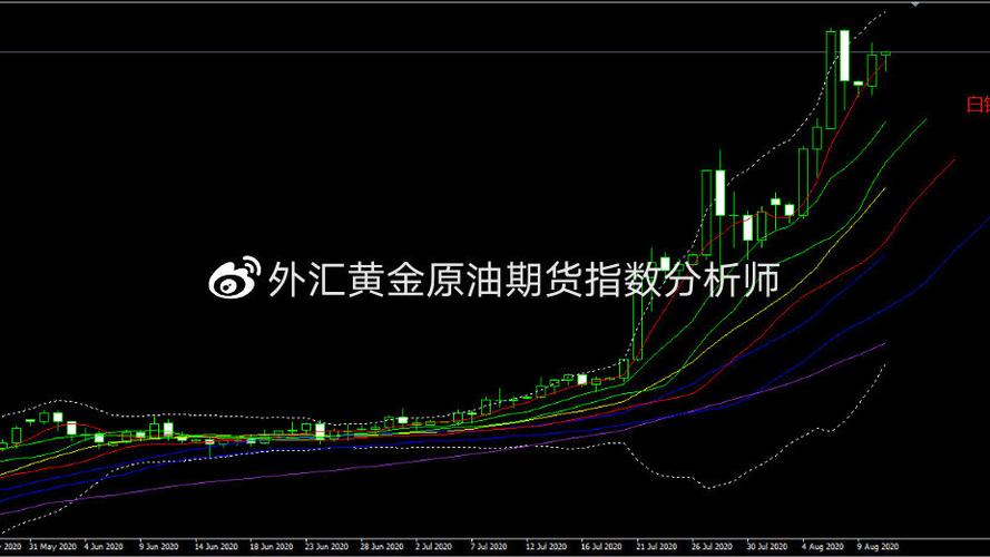 公司股份转让需要什么(公司股份过户需要什么手续) 公司股份转让需要什么(公司股份过户需要什么手续)