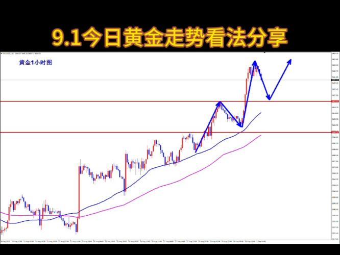 ������Ʊ��ʲô�������������Ŀ���