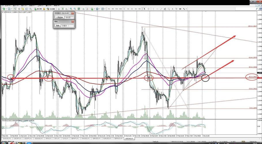 002103广博股份 002103广博股份会st吗 002103广博股份 002103广博股份会st吗