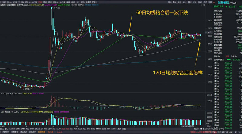 Ͷ�����ԣ����������������� �ɼ�������ƫ�ɻ���