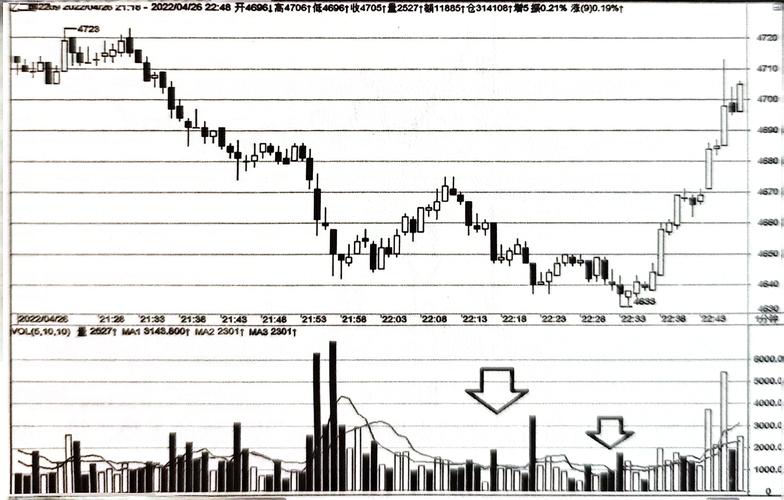 ��ҫ�����ɼ�