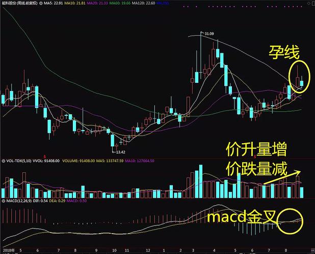 在筑底行情中的选股技巧 在筑底行情中的选股技巧