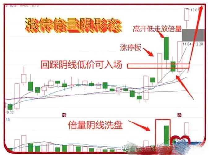 002639���˲ƾ�_002296���˲ƾ�