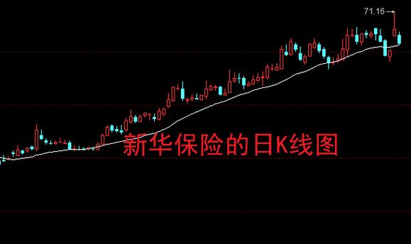 ���������ָ�ڻ�������ָ�����ָ��������