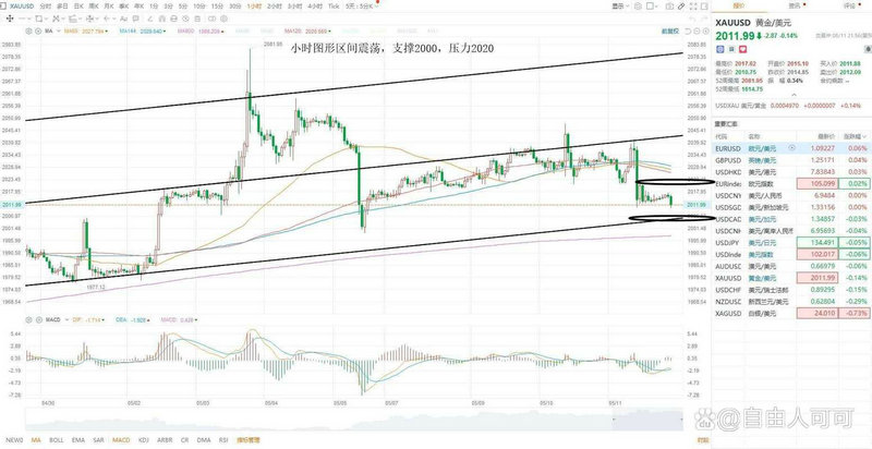 ����Σ���н⣿��Ծͤ����������1.5�ھȼ������