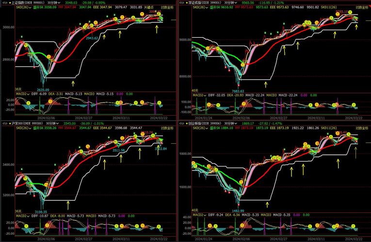 倍加洁新产品(倍加洁与高露洁) 倍加洁新产品(倍加洁与高露洁)