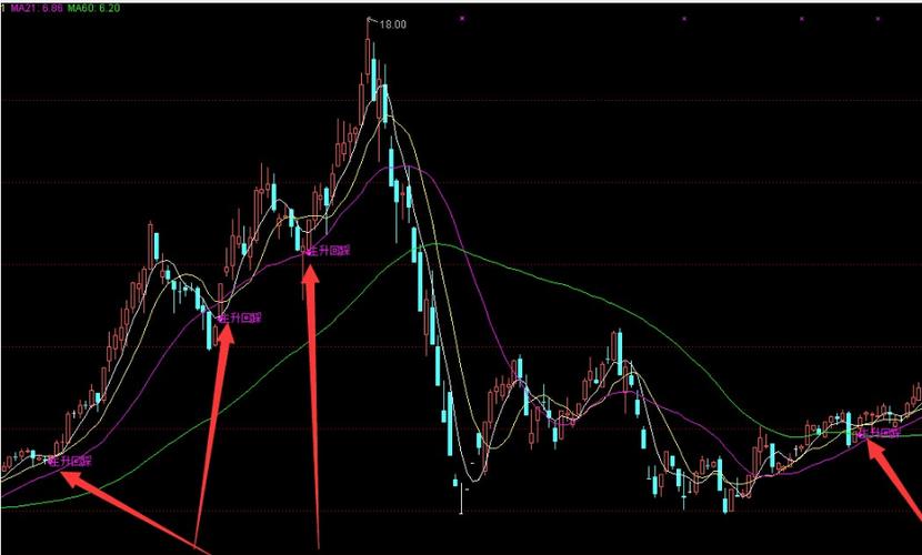 ����Ͷ�ʲƸ�����(����Ͷ������)