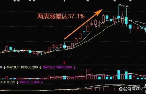 ����Ʊ�ɰɣ�����²Ĺ�Ʊ��ô����