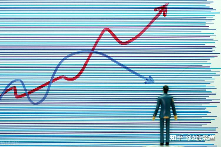 ���������������ι�˾