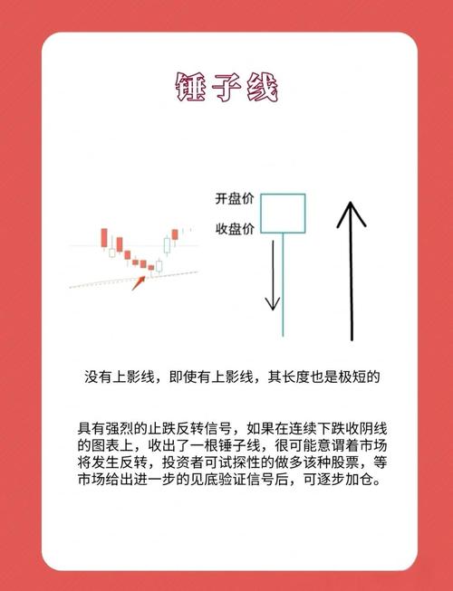 �ʲƸ� ������