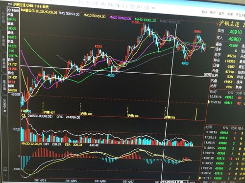 160106����ֵ��ѯ���쾻ֵ