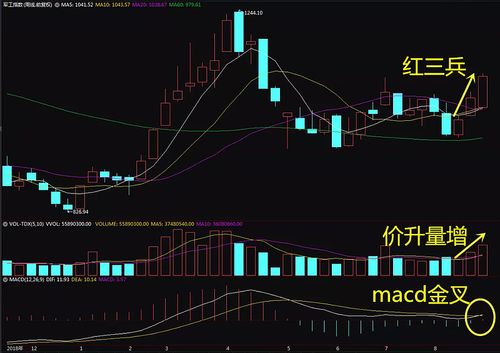 ˭˵�¹�֮����ع�������� 19%������(������)