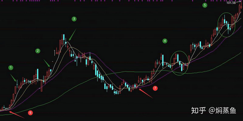 590008基金净值查询 590008基金净值查询