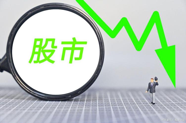 ����Ͷ����֤��ָ��ʲô��˼������ָ����ʲô��˼��