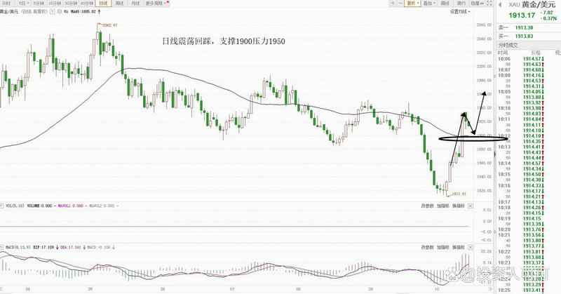 ��ʮ������� ����ʮ����������